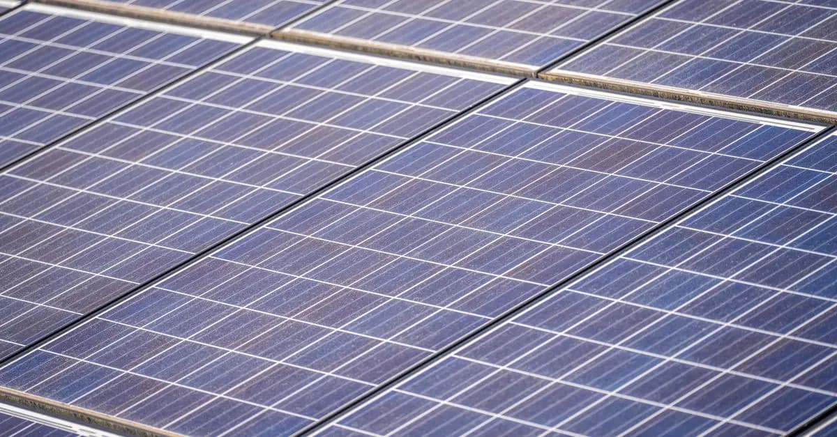 Jak nowoczesna technologia wspiera zrównoważony rozwój?